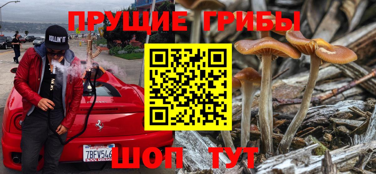Псилоцибиновые грибы Magic Shrooms Серпухов