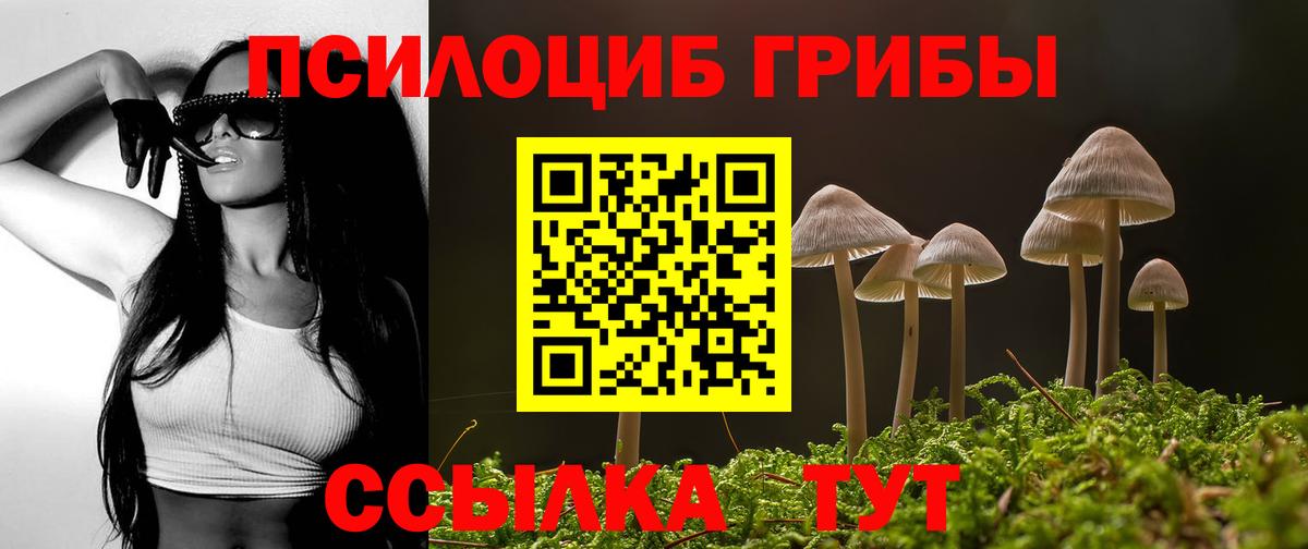 Серпухов  Галлюциногенные грибы Psilocybine cubensis  Вход с VPN  Псилоцибиновые грибы GOLDEN TEACHER 