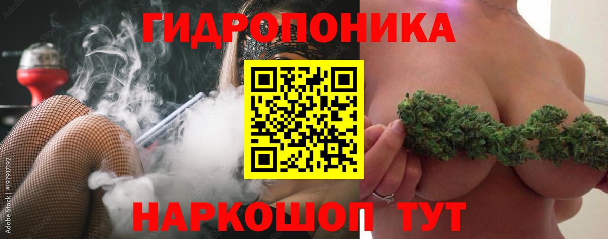 Бошки Шишки планчик  Вход с VPN  Марихуана марихуана  Серпухов  Конопля индика  Шишки марихуана тримм 